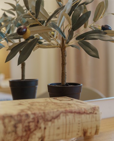 CHAMBRE DOUBLE TRADITIONNELLE